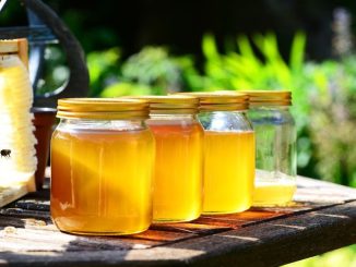 Šílený med: Na lidi i na zvířata působí jako droga, má halucinogenní účinky