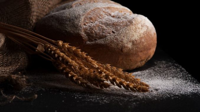 Chleba třikrát jinak podle Josefa Maršálka. S cibulí, česnekovým olejem i tymiánem