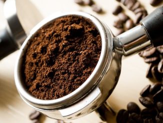Jedna z nejdražších káv na světě pochází z trusu cibetek. Za kilogram dáte i 1000 dolarů
