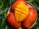 Mango: Tropické ovoce plné vitamínů, které chutná skvěle v kombinaci s cibulí a chilli