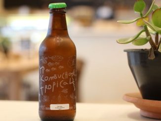 Domácí kombucha s příchutí podzimu: Naučte se připravovat tento zdravý nápoj doma